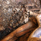 Illustration for article titled Ancient “Tomb of the Serpent Jaguar Priests” Discovered in Peru